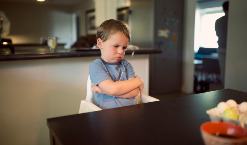 4 techniques pour gérer l'agressivité de l'enfant (0-3ans)