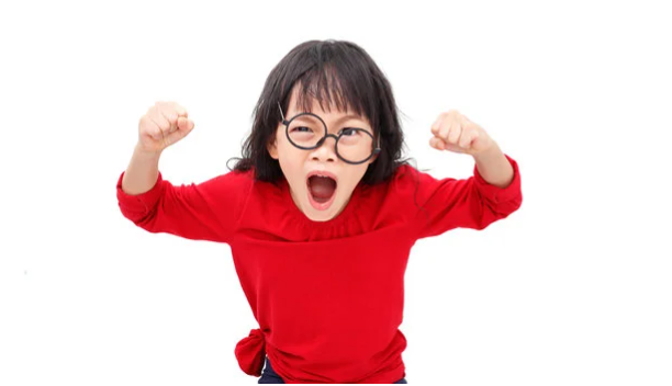 Comprendre et gérer l'agressivité de l'Enfant et l'Adolescent