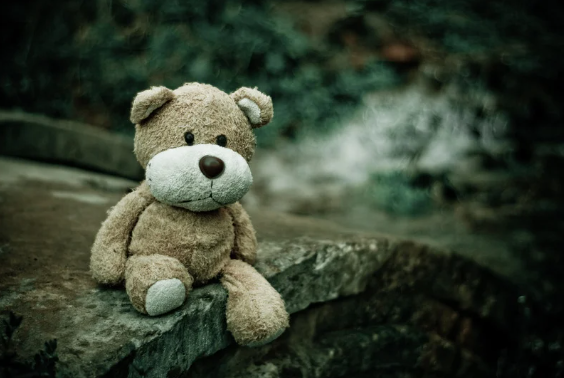 L'enfant endeuillé : les techniques de l'accompagnement au quotidien.